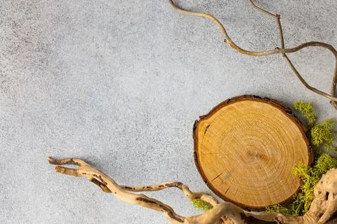 Natural Wood Slice and Twisted Branch Arrangement on Textured Background fo.. Stock Photos