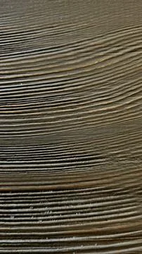 Natural Wood Texture Background – Rustic Tree Slice Close-Up Stock Photos