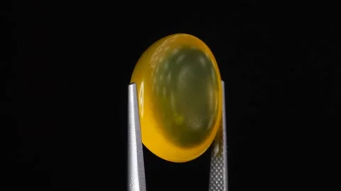 Natural yellow fire opal gemstone in the tweezer on the background Stock Footage 152928447