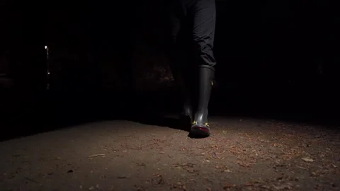 Naturalist Walking At Night On Forest Path Wearing Frog Boots, Wide Shot Stock Footage 337898145