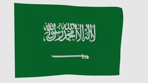 Naturalistic Banner Saudi Arabia Loop Alpha Channel Vídeos de archivo 342922877