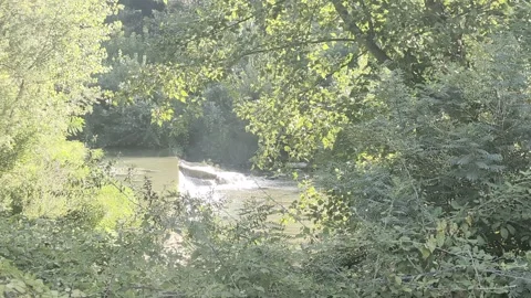 Naturalistic glimpse Stock Footage 343629229