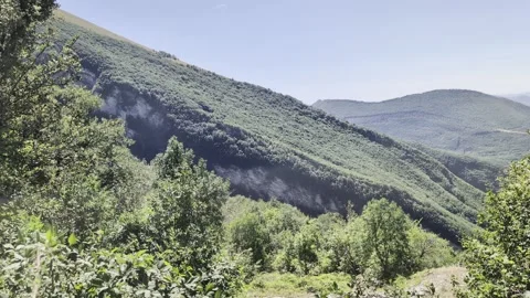 Naturalistic glimpse 動画素材 345494907