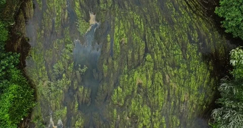 Naturally Shaped Oval River Extension Slow Current Algae Photosynthesis Aerial 库存影片 300444802