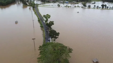 Naturaln disaster. Vídeo Stock 220901404