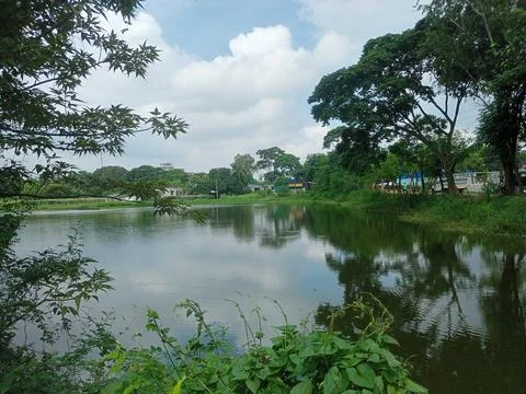 Naturalview Stock Photos