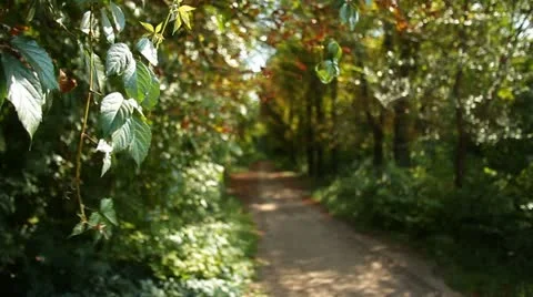Nature 001 Vídeos de archivo 18099261