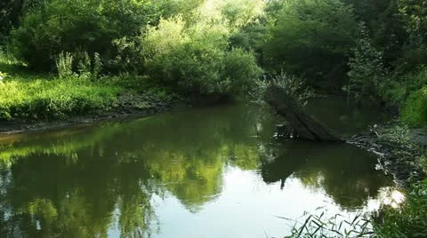 Nature 008 Stock Footage 18100378
