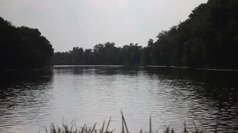 Nature 022 Stock Footage 25843393