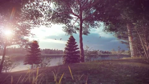 Nature 1 Stock Footage 166539773