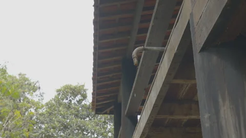 Nature 1 動画素材 245462093