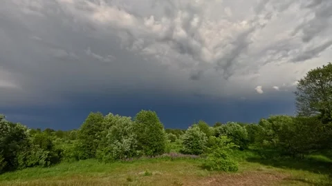 Nature 12 Stock Footage 277114455