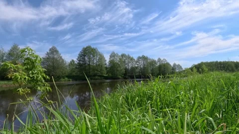 Nature 14 Stock Footage 277498652