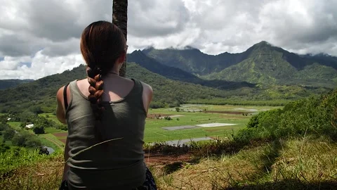 Nature 189 Stock Footage 155495585