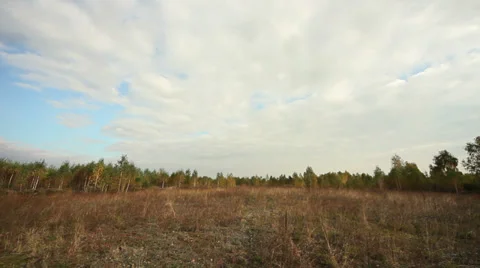 The Nature 2 Stock Footage 31660935