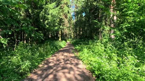 Nature 21 Stock Footage 278922883