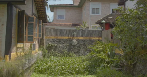 Nature 3 動画素材 245461885