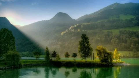 NATURE 4K Stock Photos