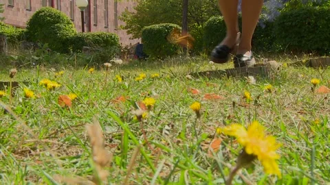 Nature 8 Stock Footage 327755793