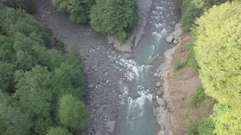 The nature of Abkhazia. Stock Footage 147681464