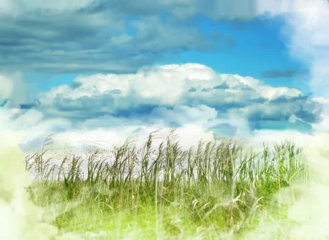 Nature abstract background Stock-Fotos