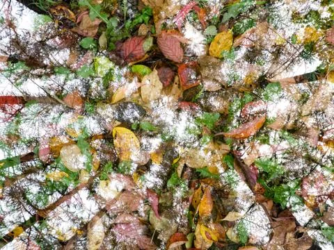 Nature abstract background Stock Photos