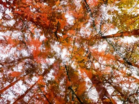 Nature abstract background Stock Photos