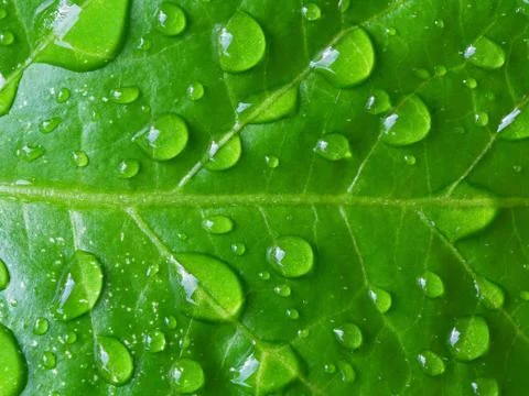 Nature Abstract Background Stock Photos