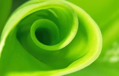Nature Abstract Background Stock Photos