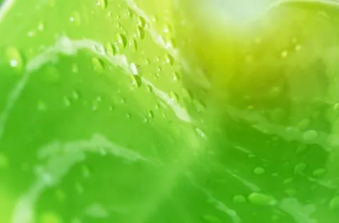 Nature Abstract Background Stock Photos