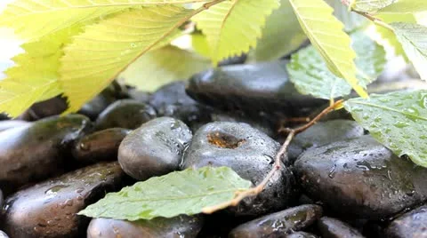 Nature abstract Stock Footage 11341468