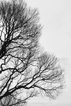 Nature abstract Stock Photos