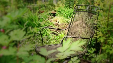 Nature in action during spring in a Seattle community garden 스톡 동영상 10913137