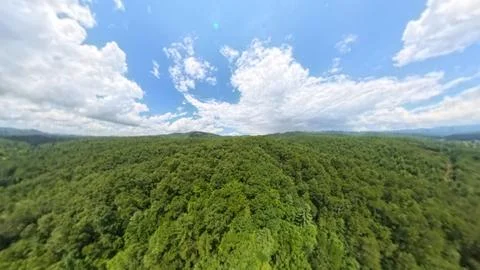 Nature Aerials: Panoramic High-Angle View of Dense Green Mountain Forest Stock Photos