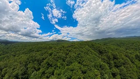 Nature Aerials: Panoramic High-Angle View of Dense Green Mountain Forest Stock Photos