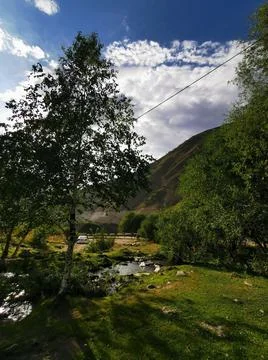 Nature of Almaty, Kazakhstan Stock Photos