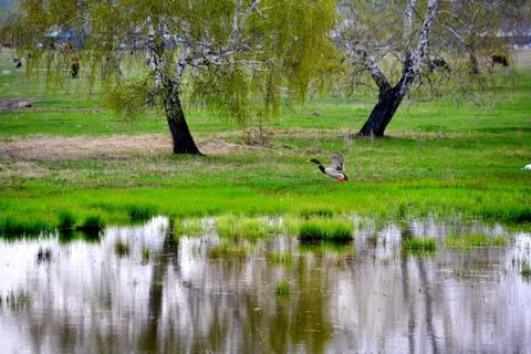 Nature Altaya Stock Photos
