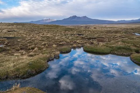 Nature of Altiplano Stock Photos