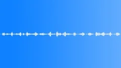 Nature Ambience Birds In a Park 02 Loop Sound Effect