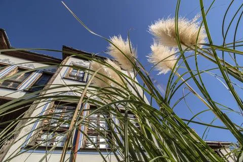 Nature and architecture. Stock Photos
