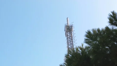 Nature and Buildings Composition - Tree and Radio Antenna Tower - Time lapse Video stock 99340565