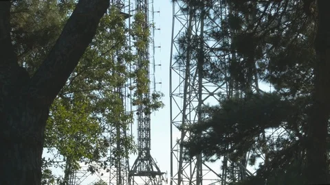 Nature and Buildings Composition - Trees and Radio Antenna Towers - Time lapse Video stock 99340599