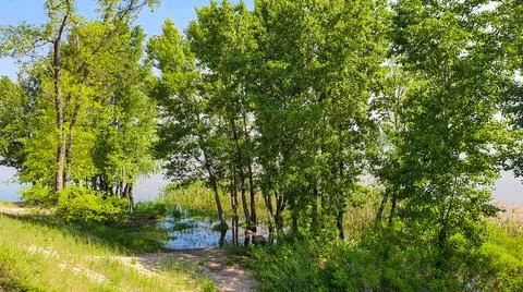 Nature and empty beach on the river. Preparing for the summer season. Reflect Fotos de archivo