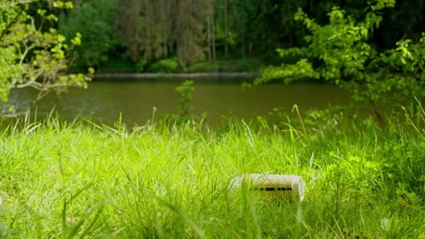 Nature And Environment Concept, field, lake, forest, outdoors Vidéo 335693683