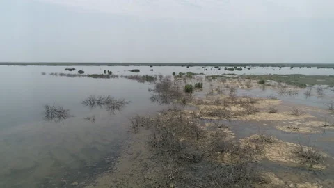 Nature and environment Stock Footage 233119695