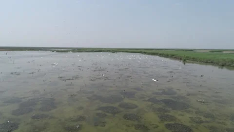 Nature and environment Stock Footage 233119802