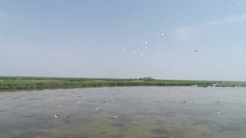 Nature and environment Stock Footage 233119815