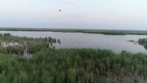 Nature and environment Stock Footage 233120058