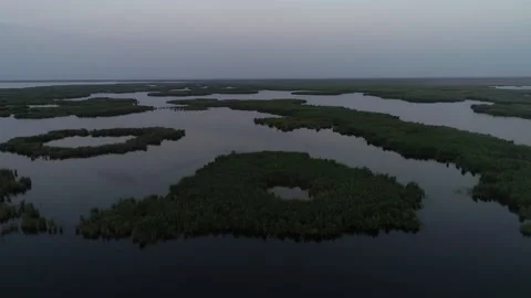 Nature and environment Stock Footage 233120097