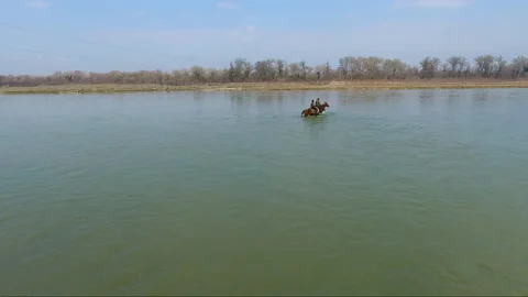 Nature and environment Video stock 233120190